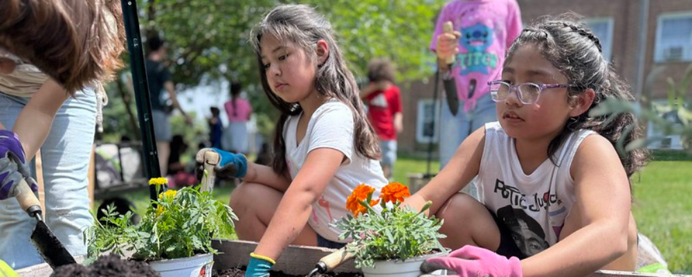 Photo of community garden